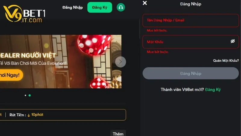 Nhập thông tin trải nghiệm Nhập thông tin trải nghiệm